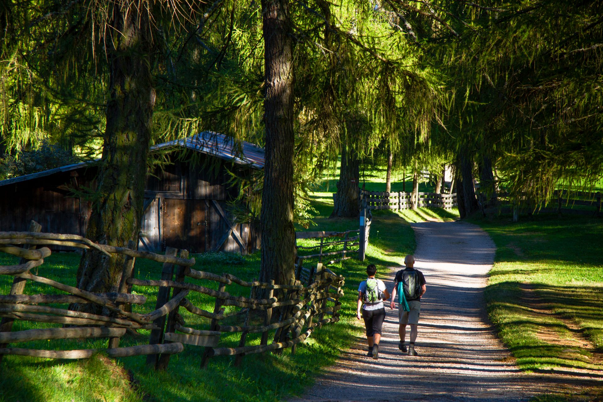 Garni B&B Birnbamerhof - foto 4