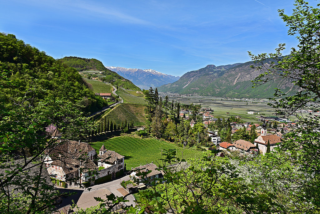 Garni Stamserhof - foto 6