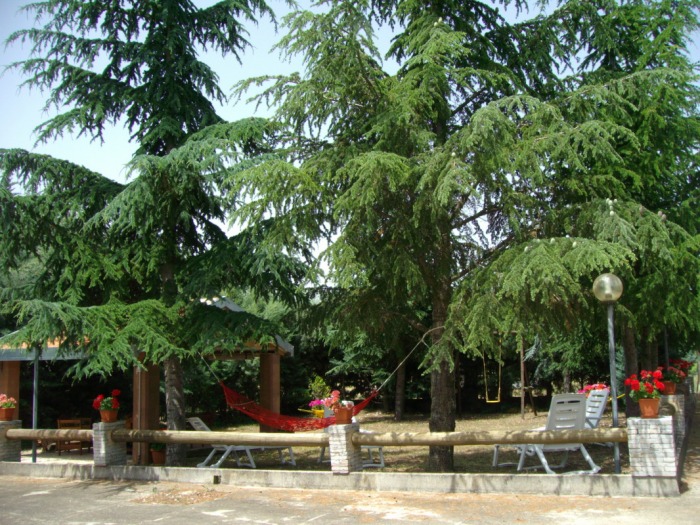 Bed and Breakfast "Le Stagioni" foto 4