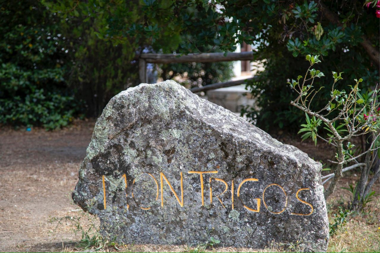 Montrigos - foto 2