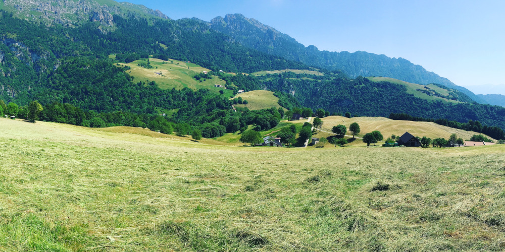 Azienda Agricola Al Fienile foto 1