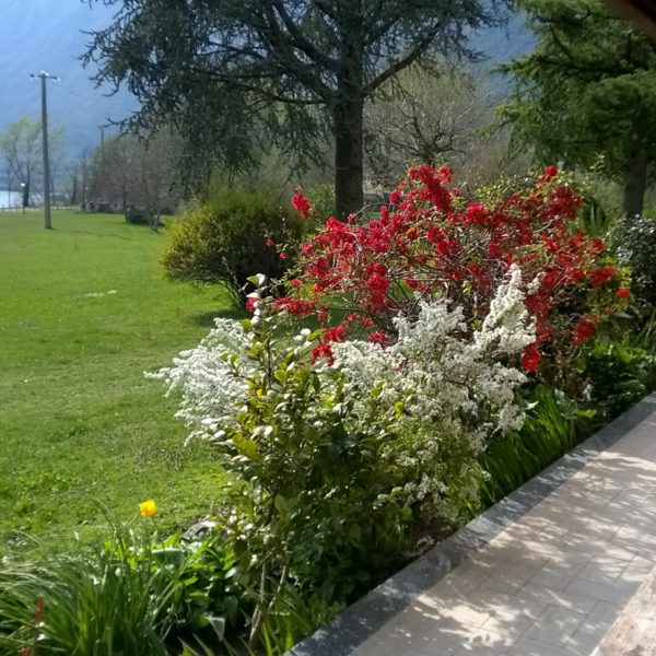 Albergo e Ristorante Al Pescatore di Faes Angiolina e Figli Snc foto 5