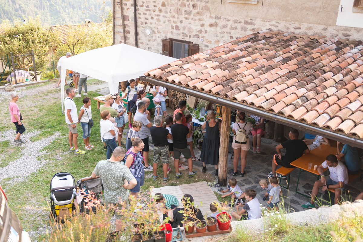 Azienda Agricola Terre Solive di Nabacino Giovanni - foto 2