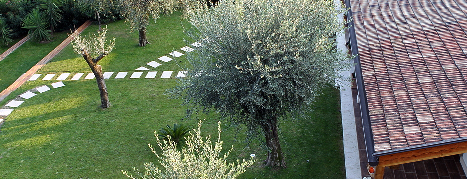 Villa Borgo degli Ulivi - foto 3