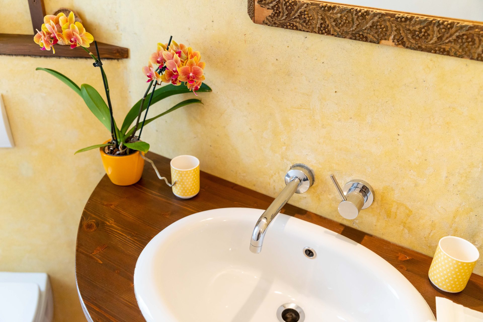 Bed and Breakfast "Il bel Giardinetto" Lago Maggiore - foto 2