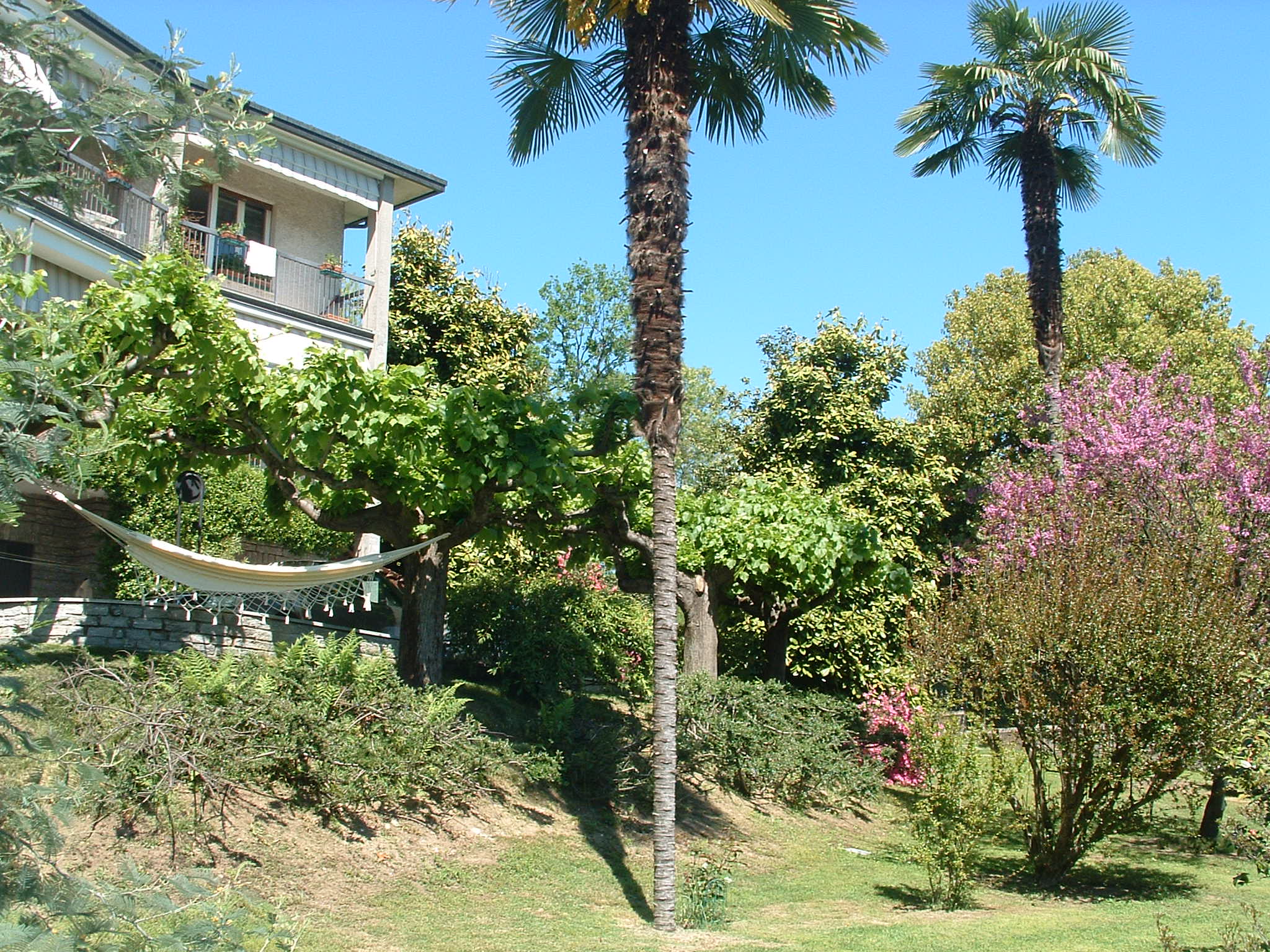B&B La Vigna foto 1