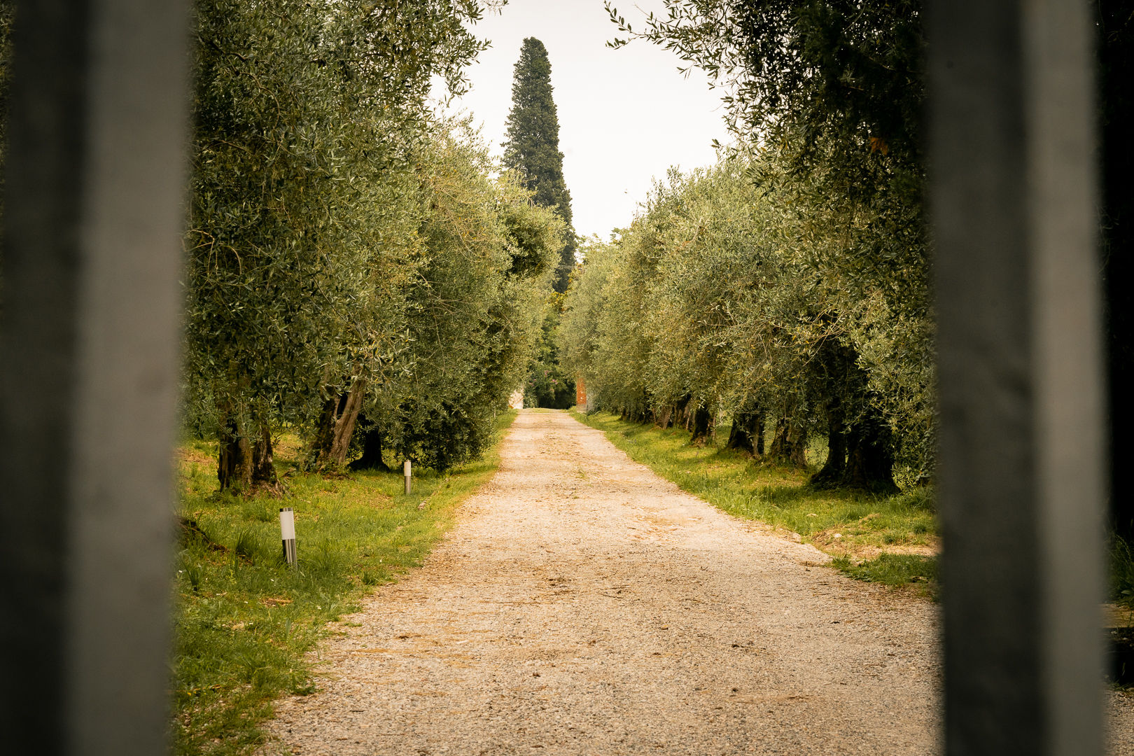 Agriturismo Podere Nigriano - foto 4