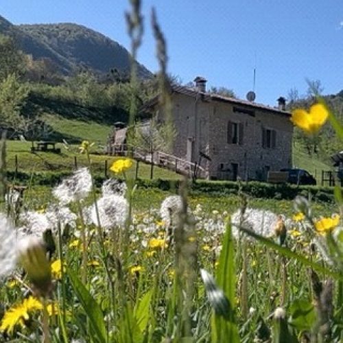 Al Vecchio Mulino Agriturismo foto 3