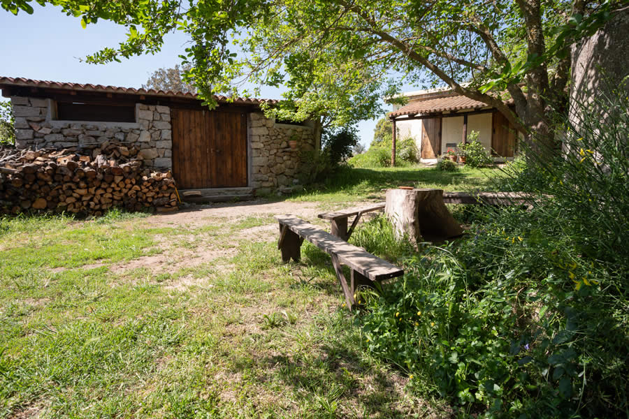 Agriturismo Testone foto 1