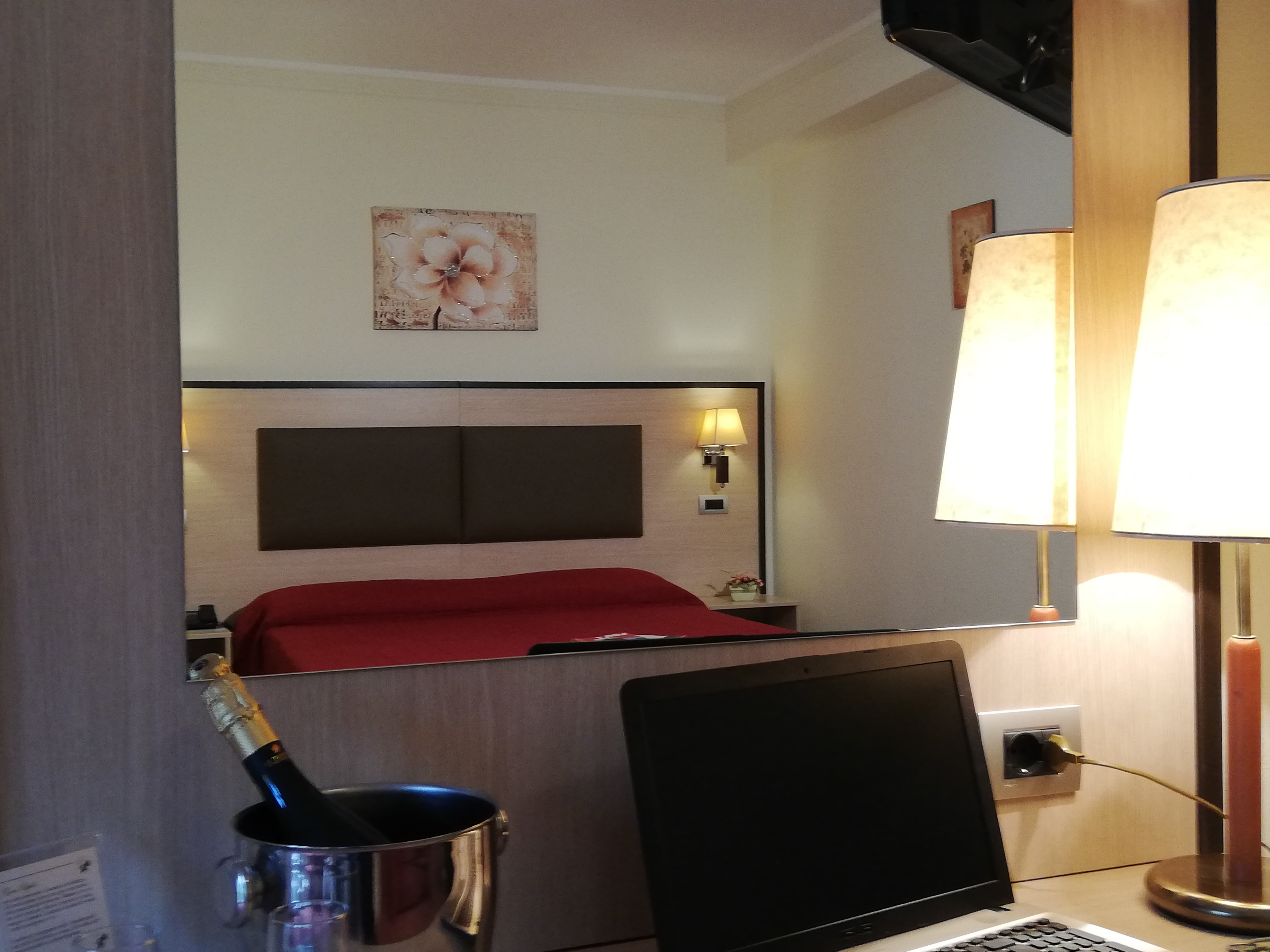 Hotel Des Alpes - foto 1