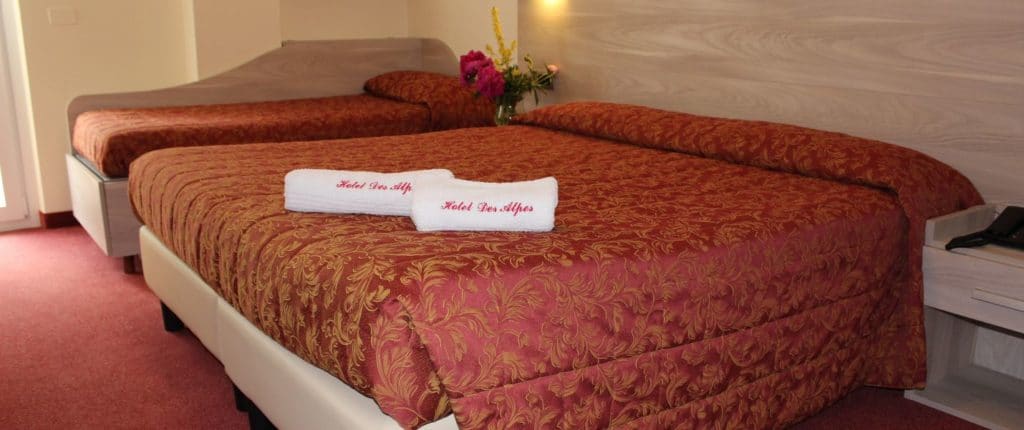 Hotel Des Alpes - foto 6
