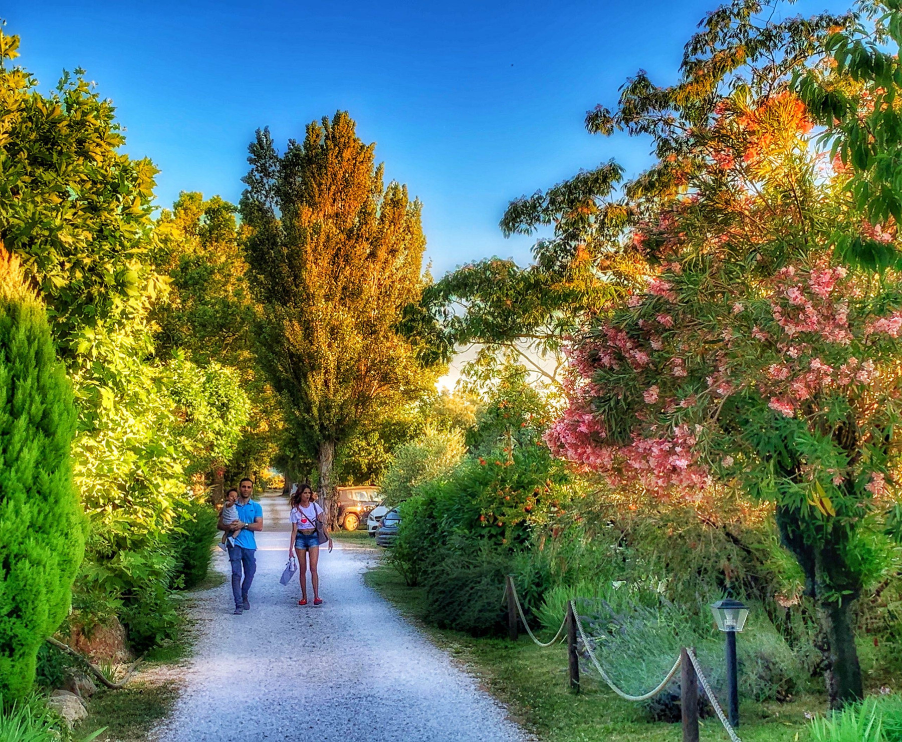 Camping Village Lago Di Bracciano - foto 4