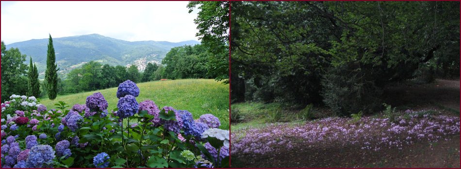 B&B Villa Facta foto 4