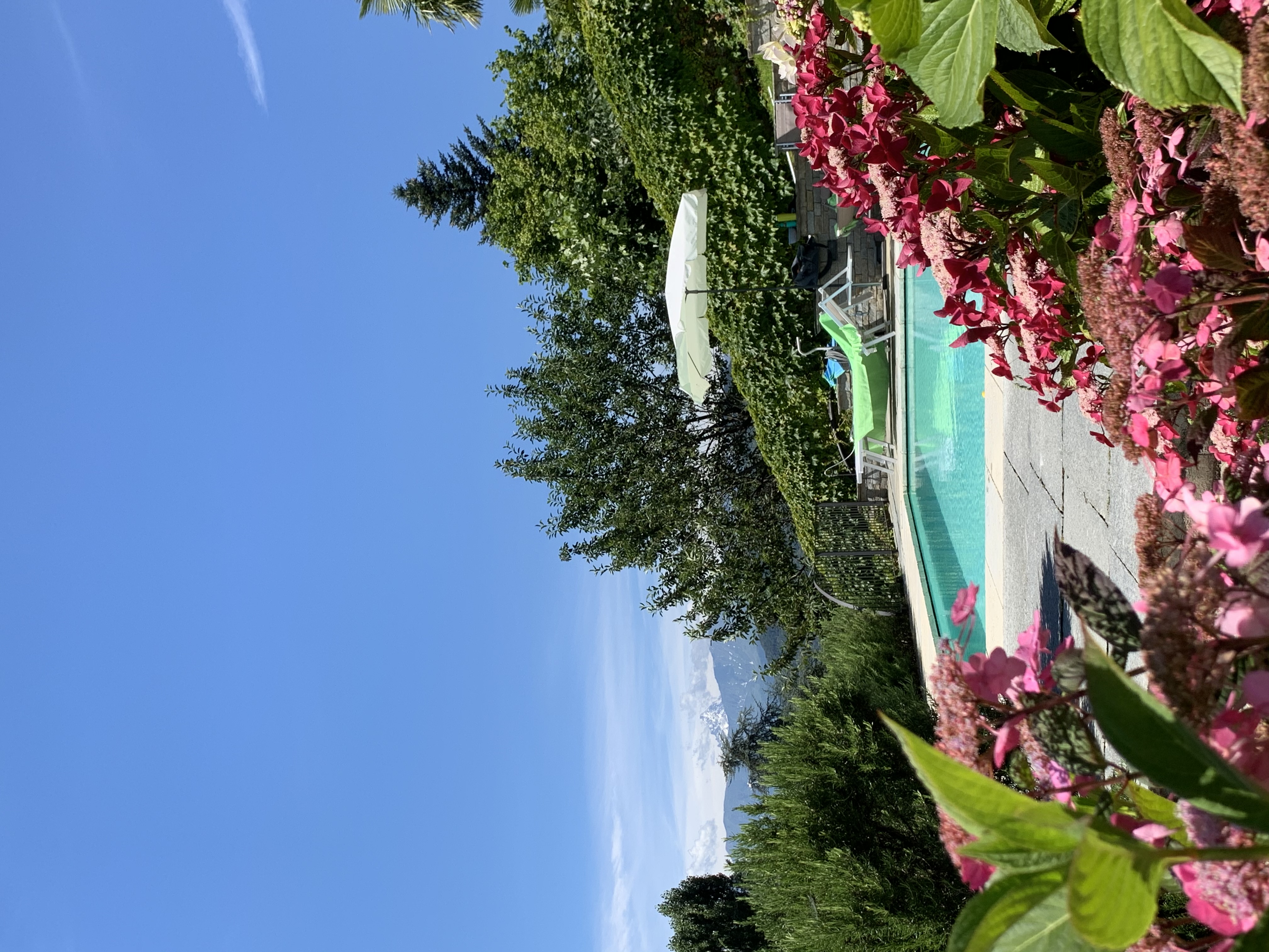 Villa le Ortensie di Carlotta - foto 1