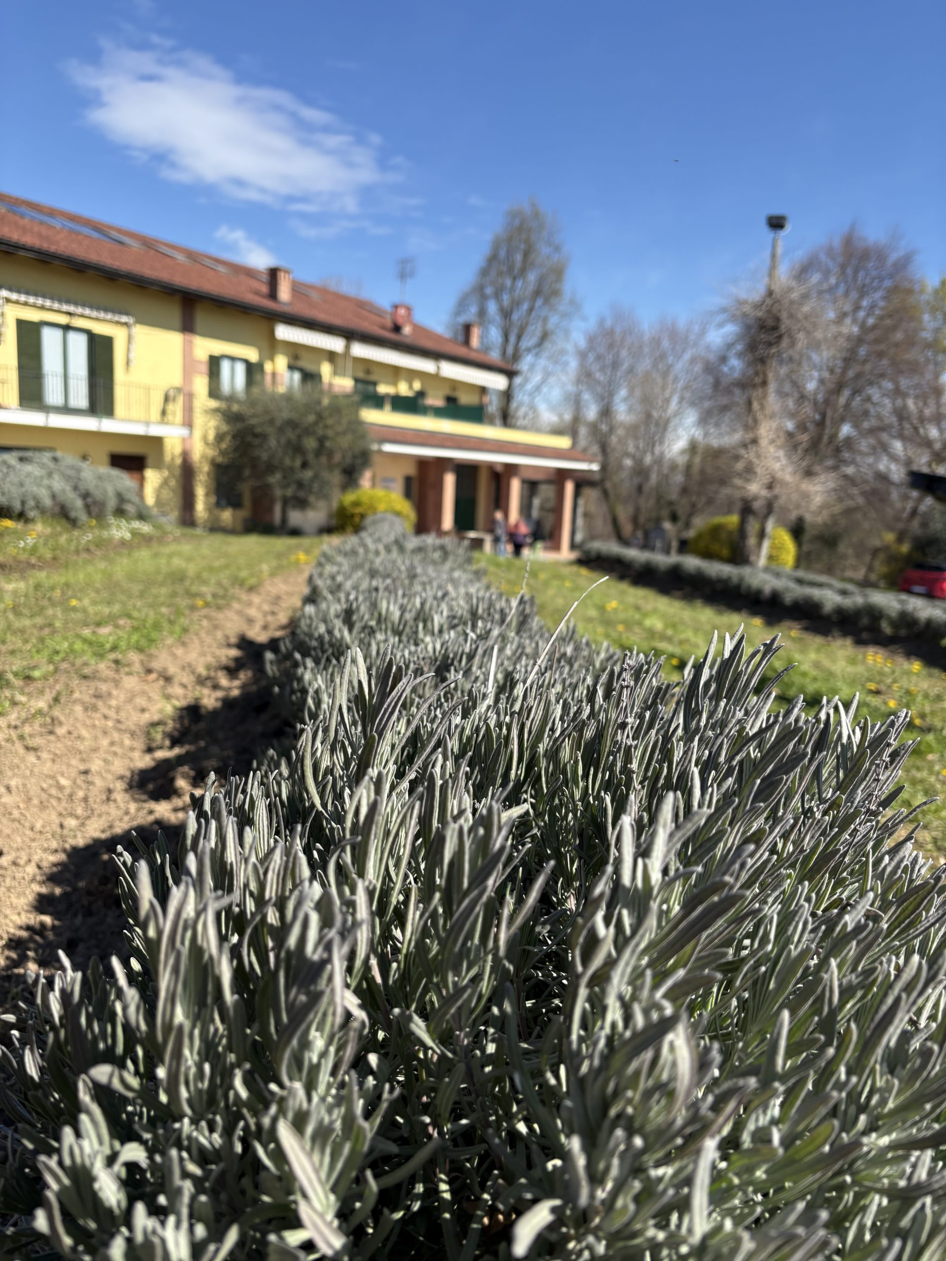 Agriturismo Turina - B&B a Bricherasio - foto 1
