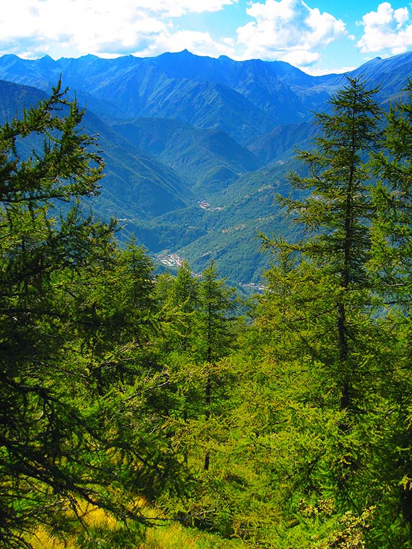 B&B Il Girasole foto 2