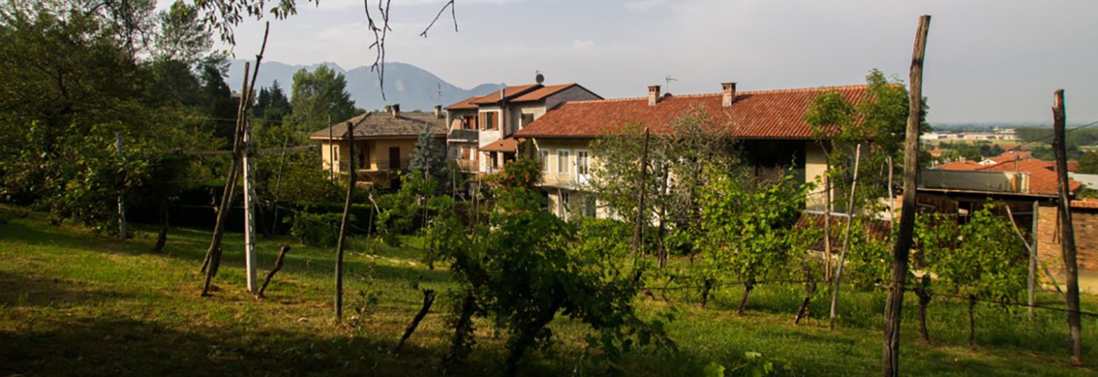 Monteoliveto B&B - foto 6