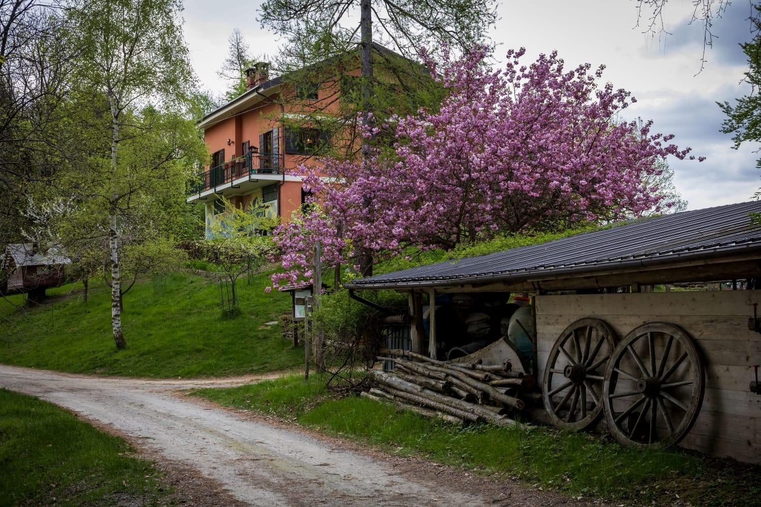 B&B Pian Savin foto 2
