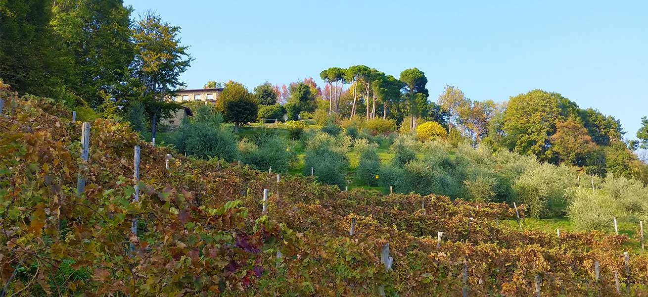 Agriturismo San Genesio - foto 1