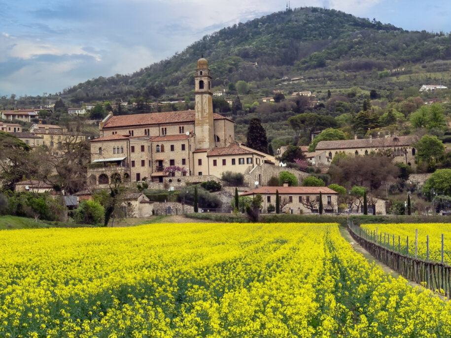Locazione Turistica La Giuggiola foto 5