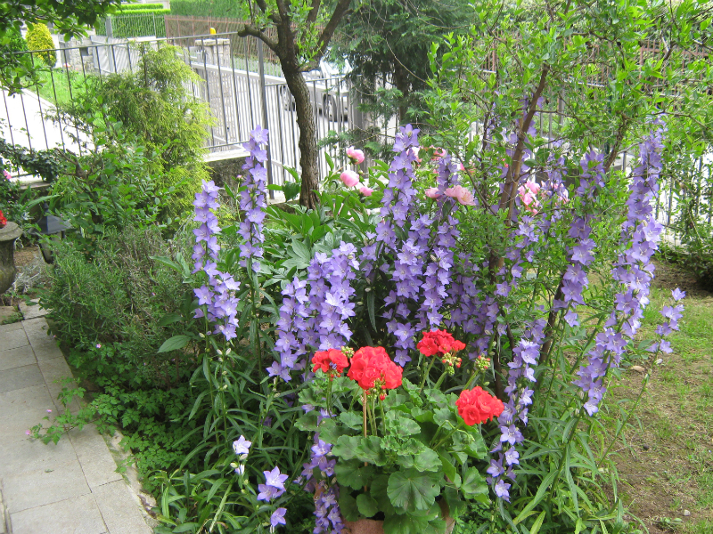 Il Giuggiolo Bed & Breakfast foto 1