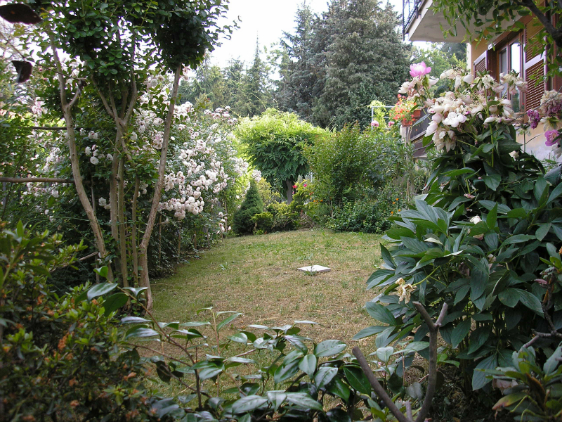Il Giuggiolo Bed & Breakfast foto 3