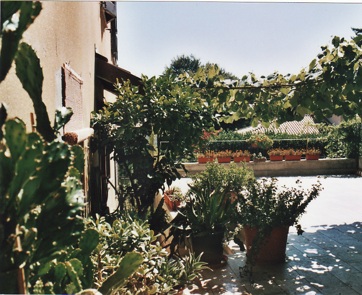 Il Giuggiolo Bed & Breakfast foto 6