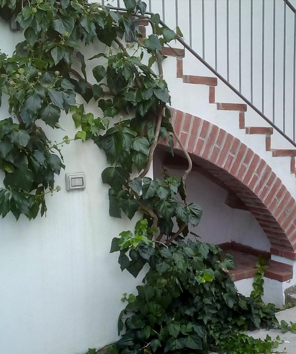 bbbolbrianza - foto 1