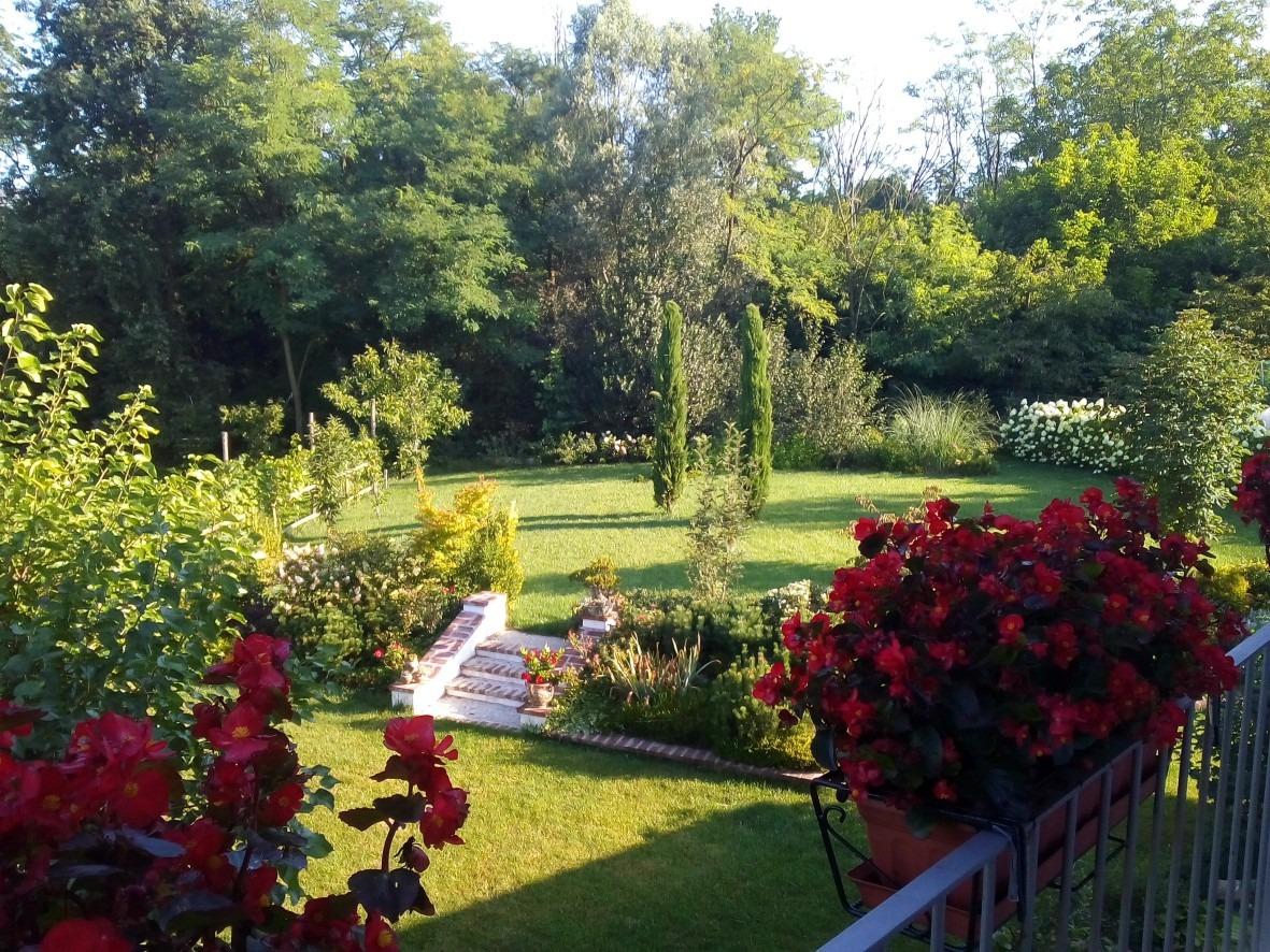 bbbolbrianza - foto 3