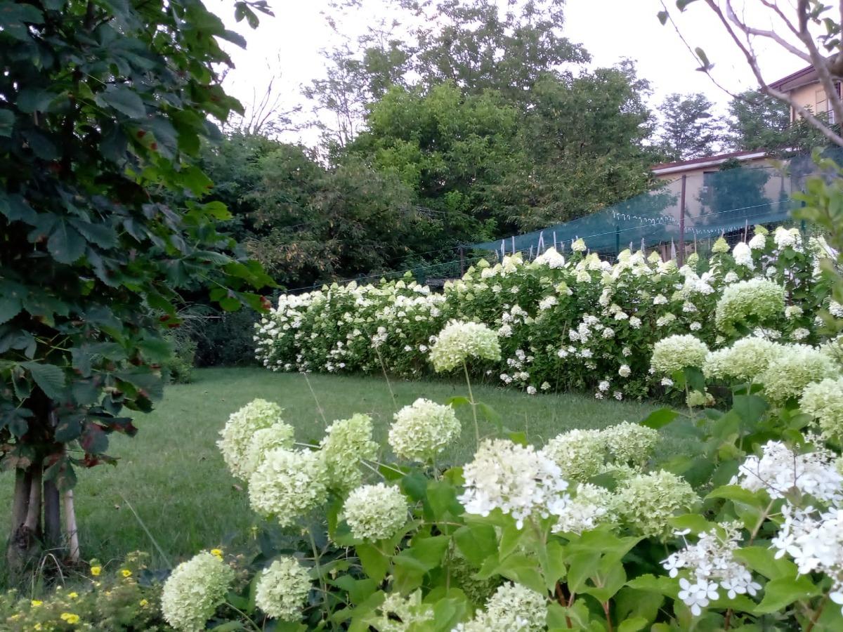 bbbolbrianza - foto 5