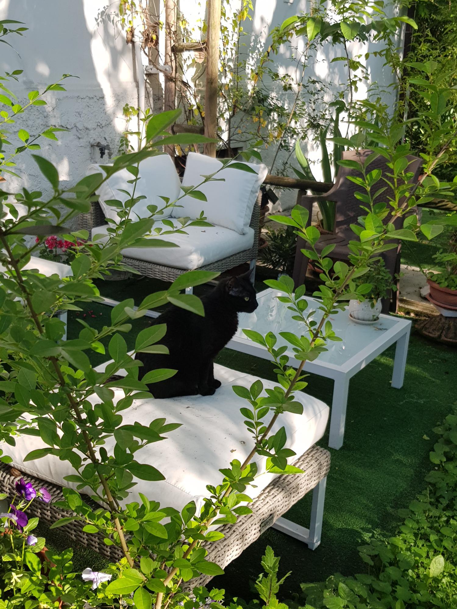 B&B White Lady - foto 1