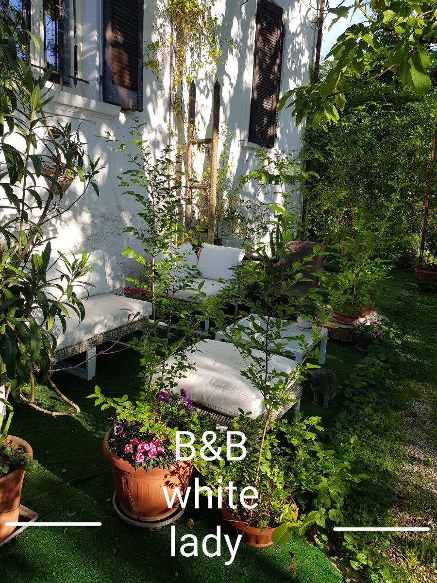 B&B White Lady - foto 3