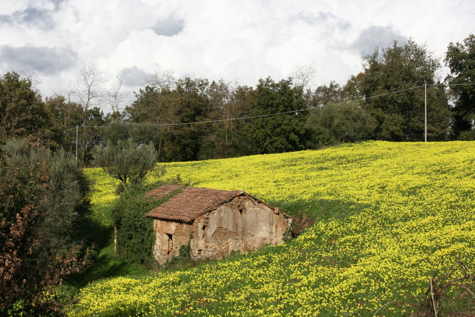 Agriturismo Ruralia - foto 6