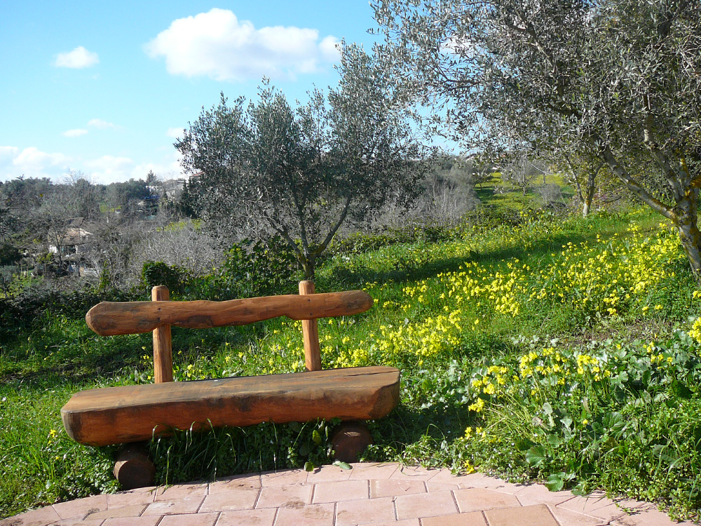 MASSERIA CAPORELLI B&B azienda agricola - foto 2