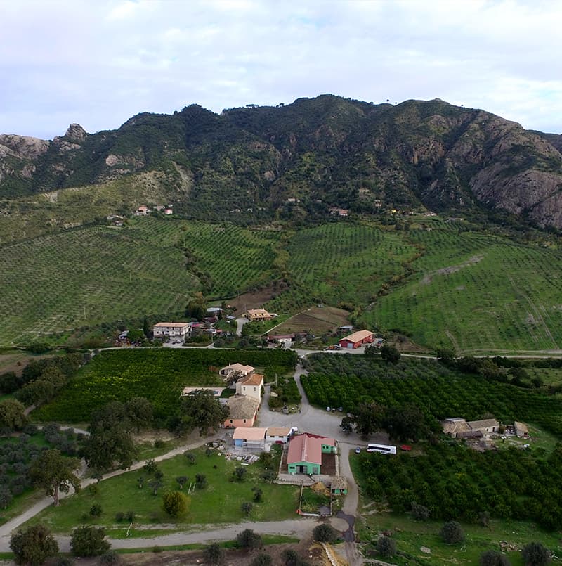 Barone G. R. Macrì - foto 1