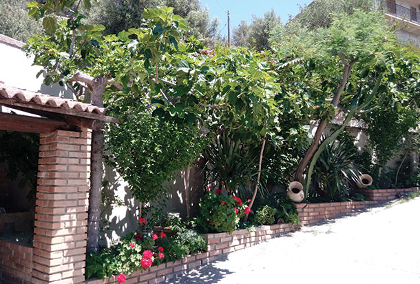 Agriturismo Mille Sapori - foto 4
