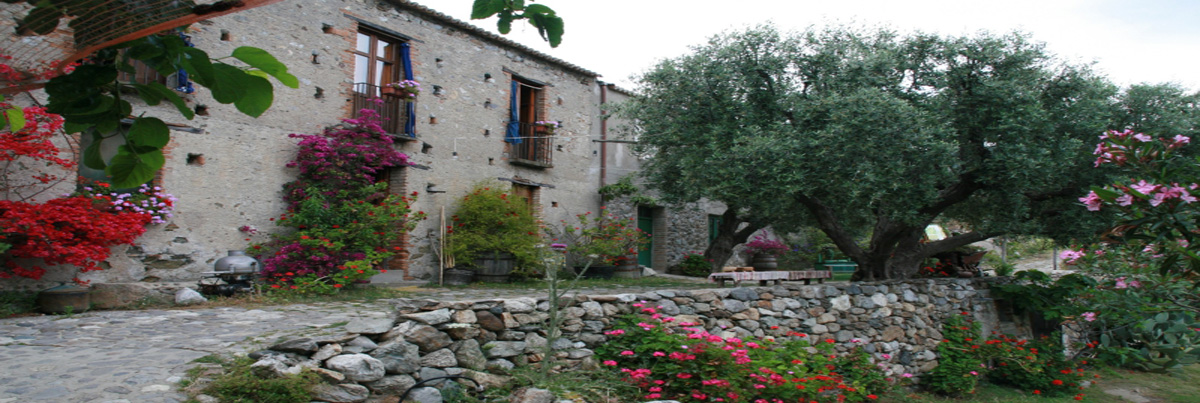 Azienda agrituristica "Il Bergamotto" - foto 4