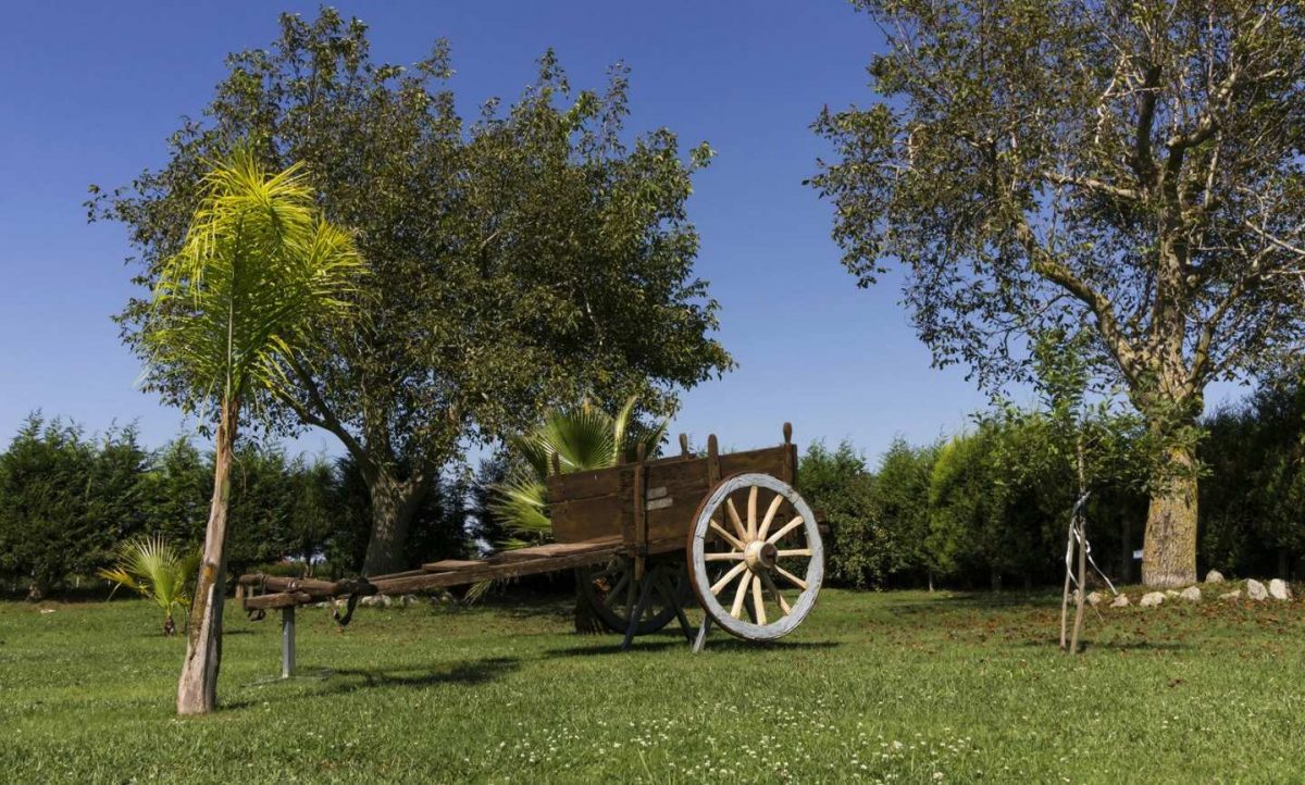 Agriturismo Il Casolare - foto 4