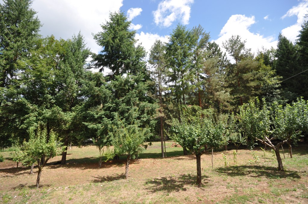b&b Villa Arboretum - foto 2