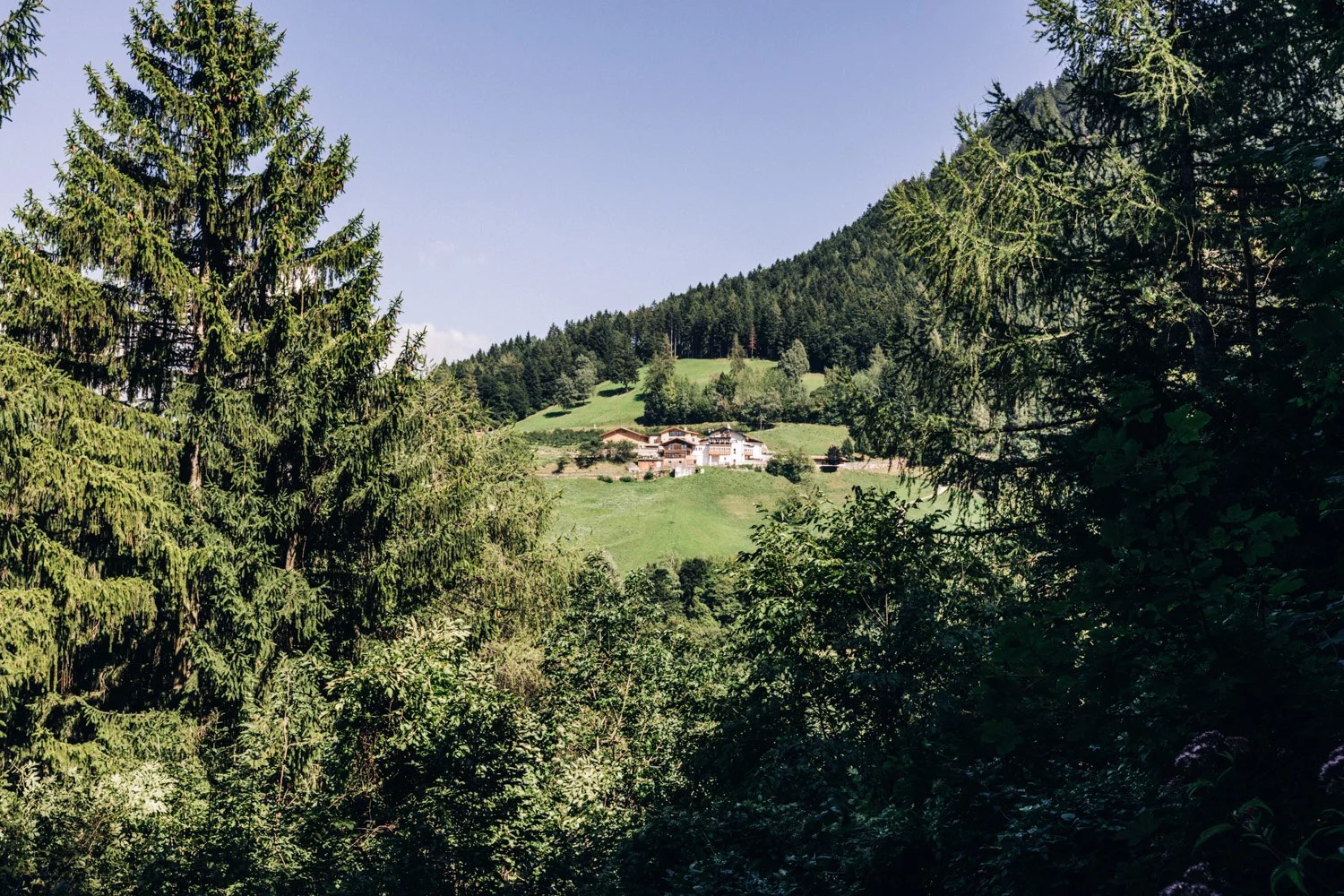 Locanda Alpina Dorfner foto 2