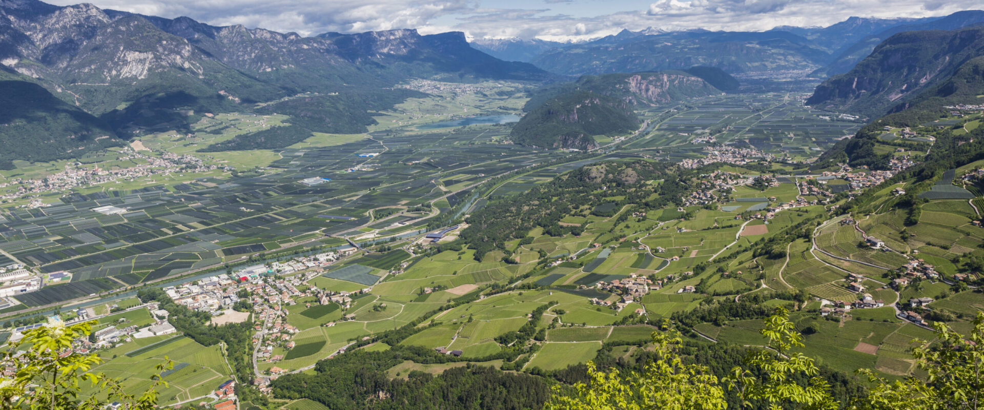Pensione Lamberthof - foto 4