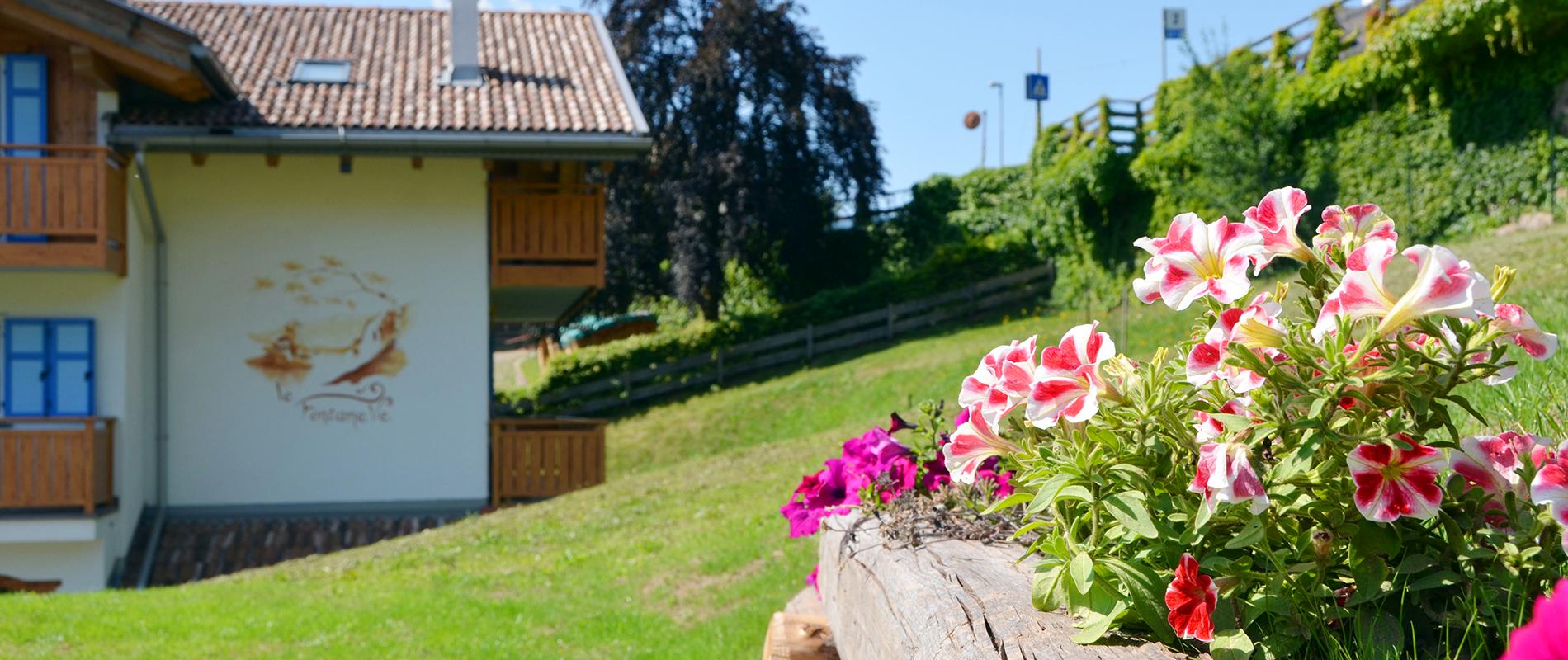 B&B Le Fontanelle Carano - Val di Fiemme - foto 5