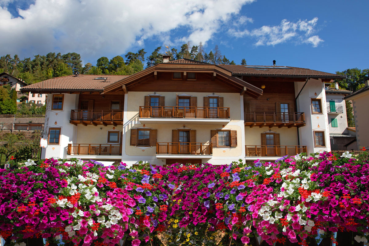 "Garnì Manuela" ALBERGO B&B APPARTAMENTI per vacanza in RESIDENCE a Cavalese - VAL DI FIEMME - Dolomiti del Trentino - foto 4