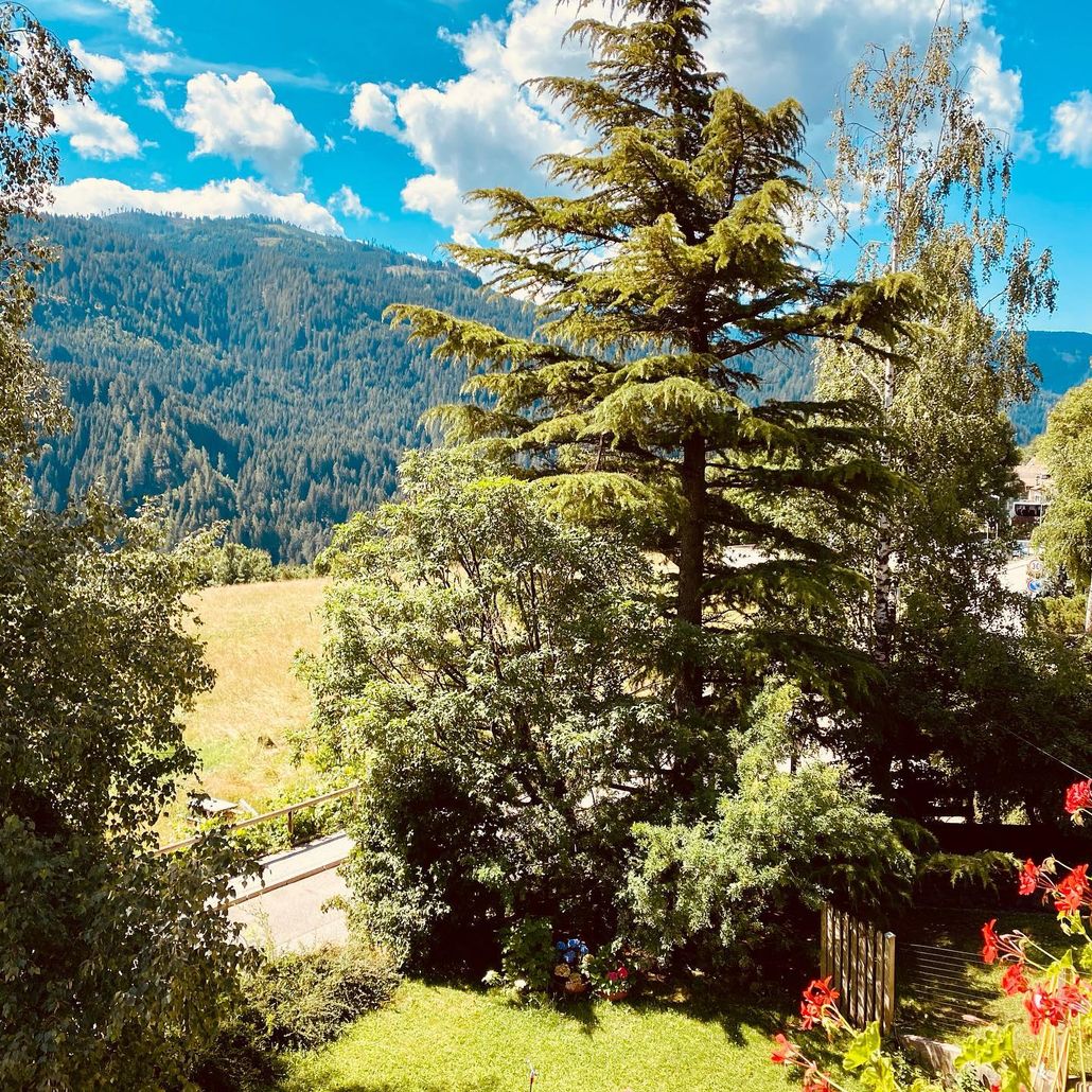 B&B Pichler Casa - foto 6