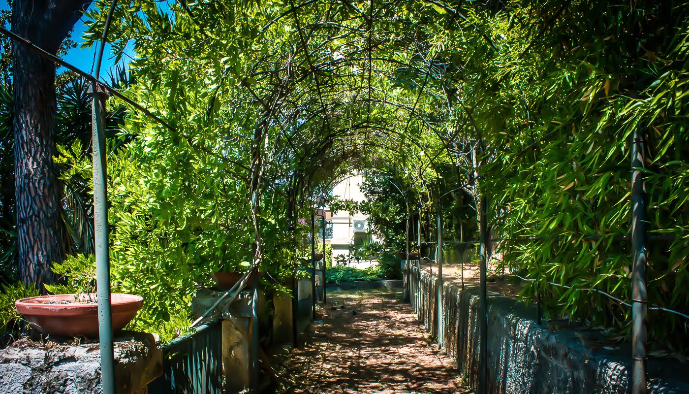 B&B Il Giardino - foto 2