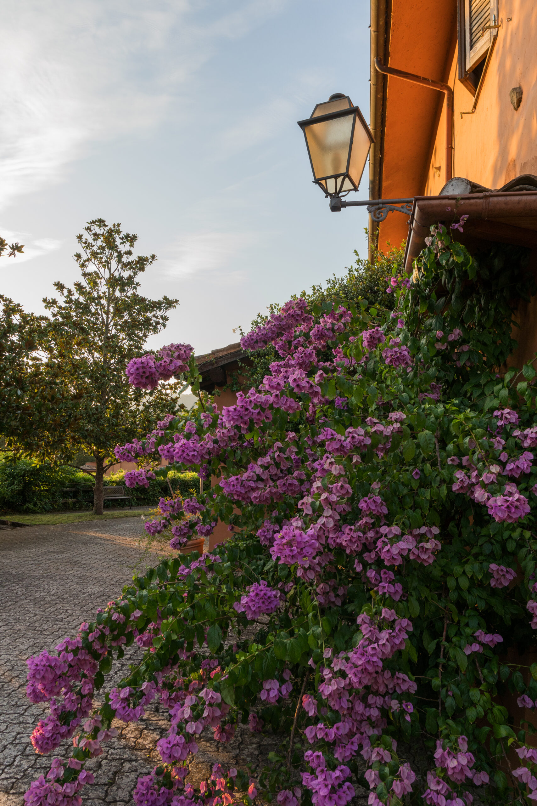 Agriturismo Il Borgo nel Bosco - foto 6