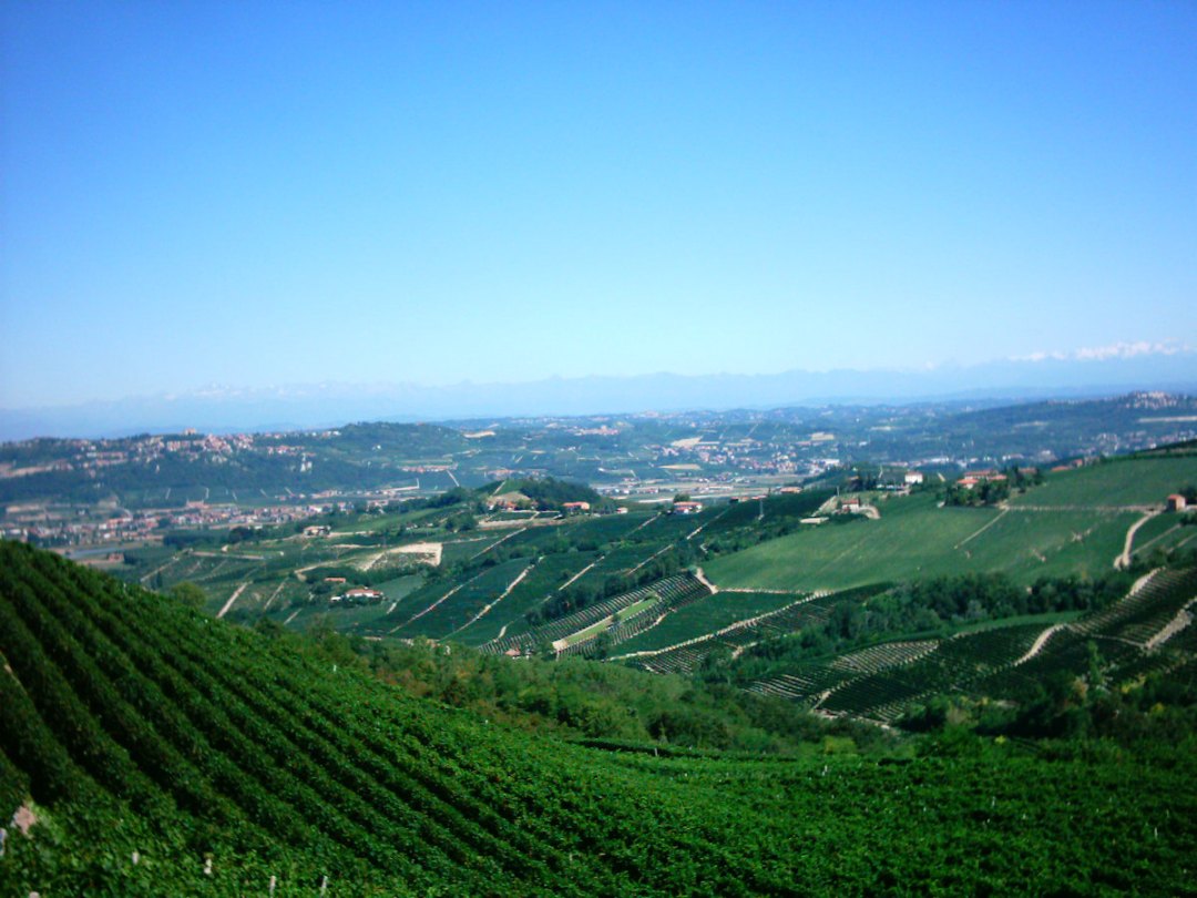 B&B Tenuta Morgnano - foto 1