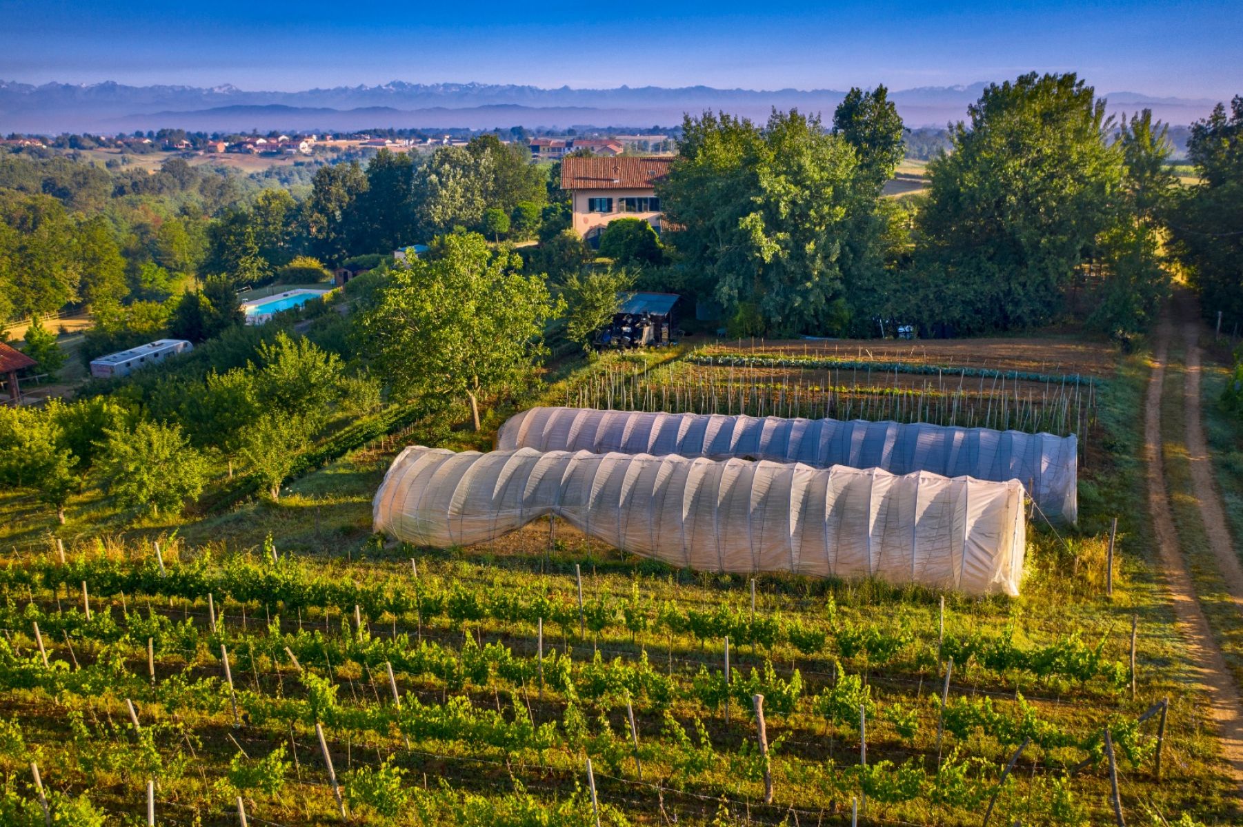 Agriturismo Cascina Papa Mora - foto 3
