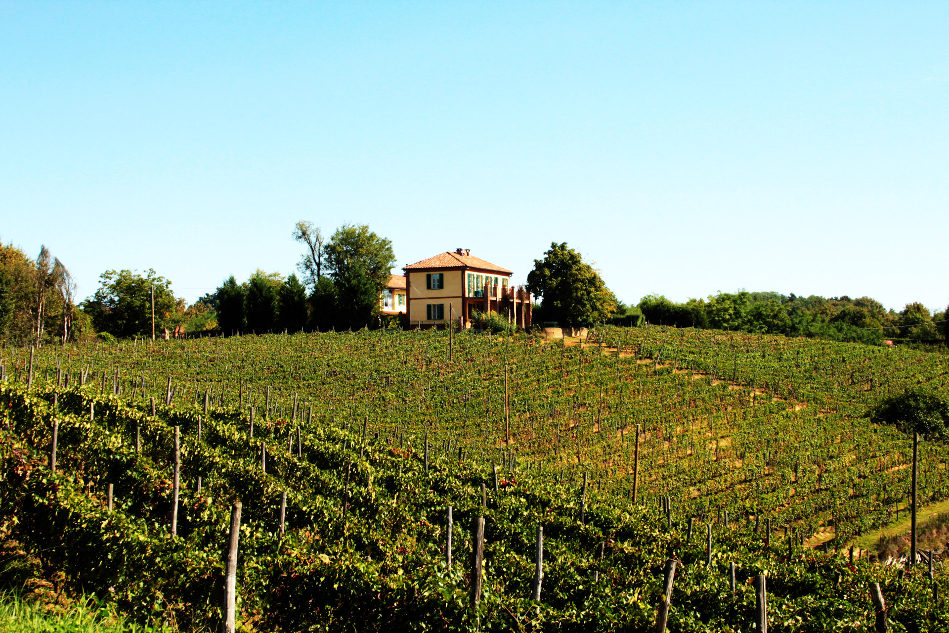 Cascina Desderi Società Semplice Agricola - foto 1