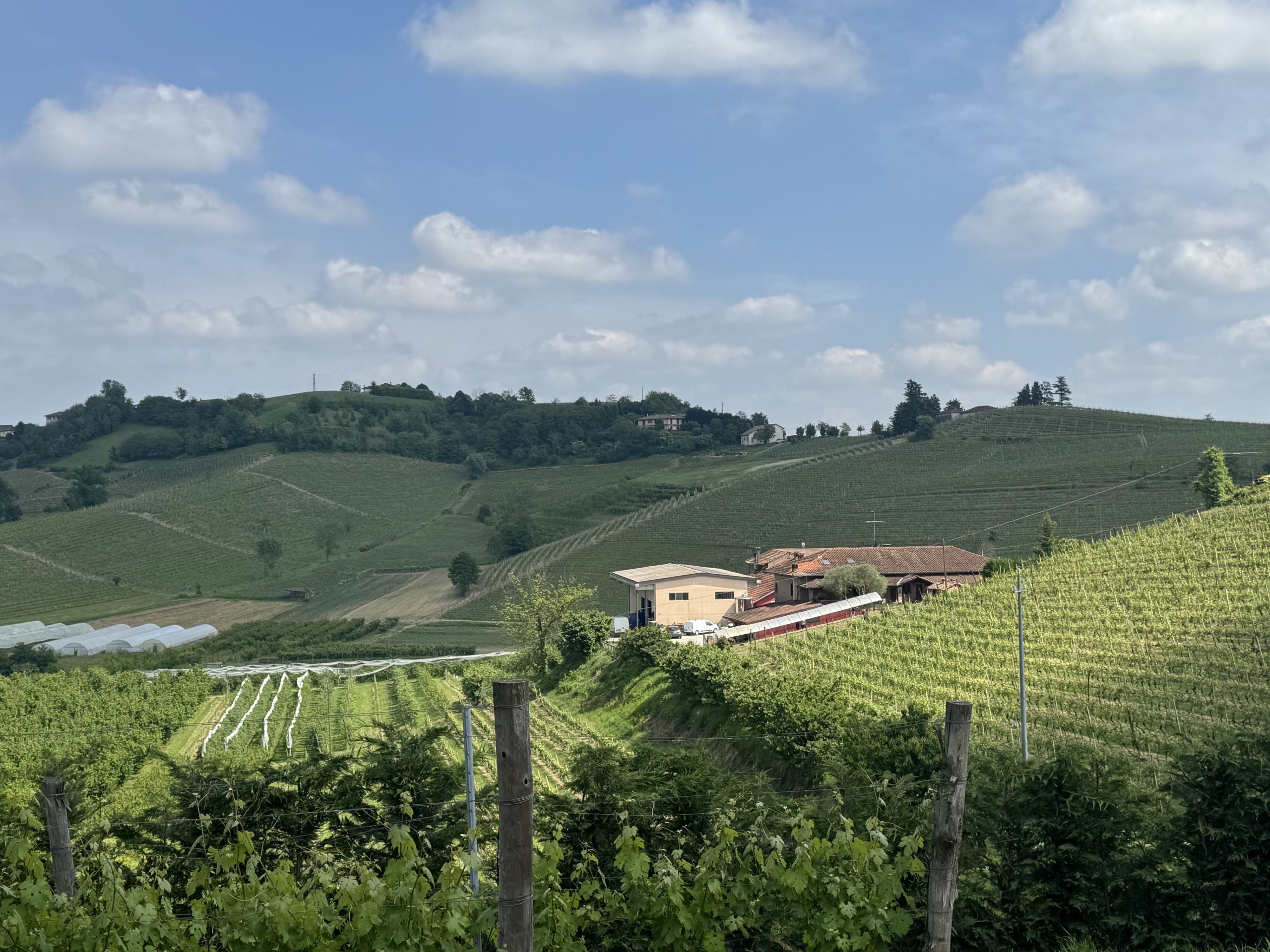 Agriturismo la GépPina - foto 4